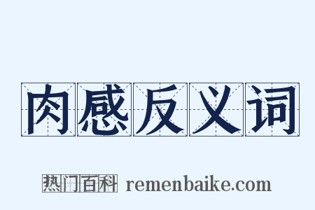 肉感反义词是什么意思的图片